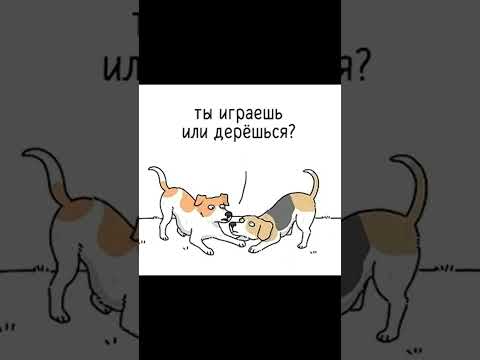 Что делают собаки? thumbnail