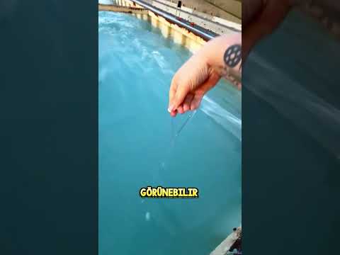 Asla BİLMEDİĞİNİZ Sulara Atlamayın! 🏊🫨 thumbnail