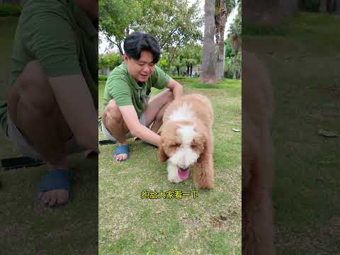 重要通知！新成員入職介紹 - 擡走 thumbnail