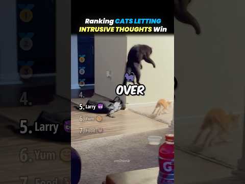 Ranking CATS LETTING INTRUSIVE THOUGHTS WIN Core Moments!! 🐱😈 thumbnail