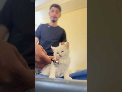 بستي مرضانة😂نهاية غير متوقعة#shorts thumbnail