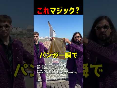 これマジック？ #shorts thumbnail