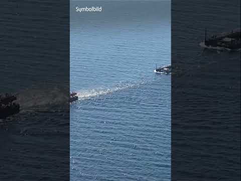 Ist es Timmy ? Toter Wal vor dänischer Insel Anholt entdeckt  #buckelwal #timmy thumbnail