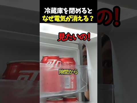 冷蔵庫を閉めるとなぜ電気が消える？ thumbnail