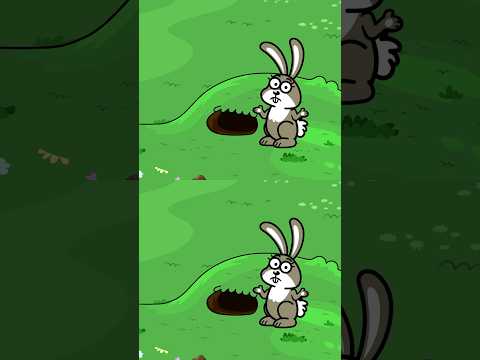 Wo ist der kleine Hase? 🐰- Hurra Kinderlieder #kinderlieder #kindermusik #lustigelieder #häschen thumbnail