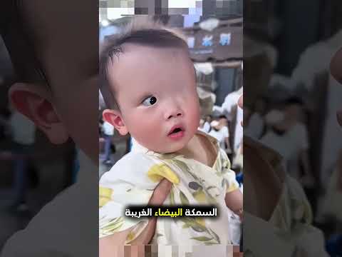 الأب يذهب مع عائلته الى حديقة الاسماك بطريقة مميزة! ❤️ thumbnail