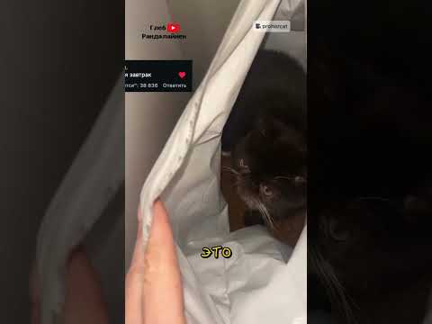 Это Как Называется 🤔 thumbnail