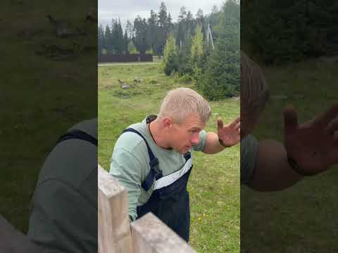 Сибирский странник 😂👍 #юмор #ржакадослез thumbnail