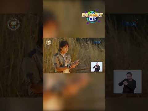‘Wag mag-bonfire sa bundok! #shorts | Planet XP thumbnail