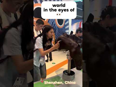 How does the world look like in animals’ eyes? | 📍Shenzhen, China thumbnail