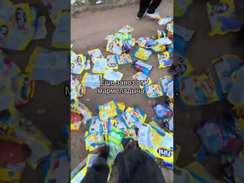 ВОТ ЭТО ЗАВОЗ | TikTok: wertime0 thumbnail
