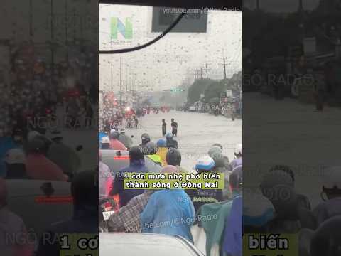 1 cơn mưa nhẹ phố biến thành sông ở Đồng Nai thumbnail