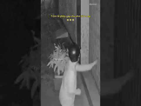 Trộm lễ phép gặp chủ nhà tốt bụng 😂 #tromcap #haihuoc #shorts thumbnail