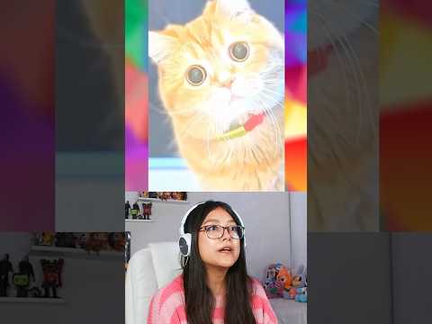 GATITO RESCATA A SU MEJOR AMIGO DE MALA MADRE @mokomaru_10 #curiosidades #humor thumbnail