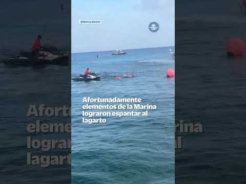 ¡Susto marca diablo! Aparece cocodrilo en competencia infantil de aguas abiertas #shorts thumbnail