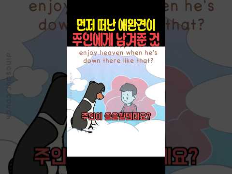 먼저 떠난 애완견이 주인에게 남겨준 것 thumbnail