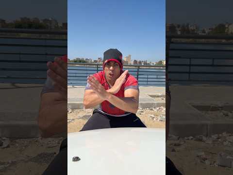 ازااااااي القطة ?? thumbnail