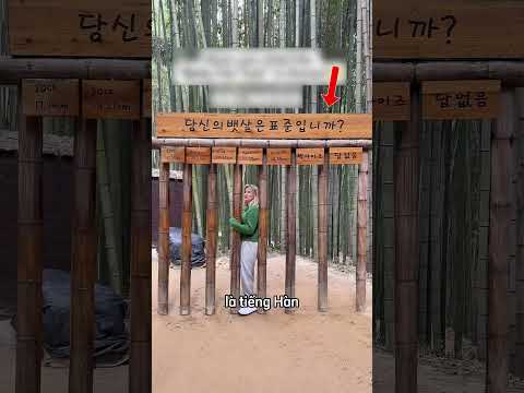 Những điều về Nhật Bản thực ra là giả dối ? thumbnail