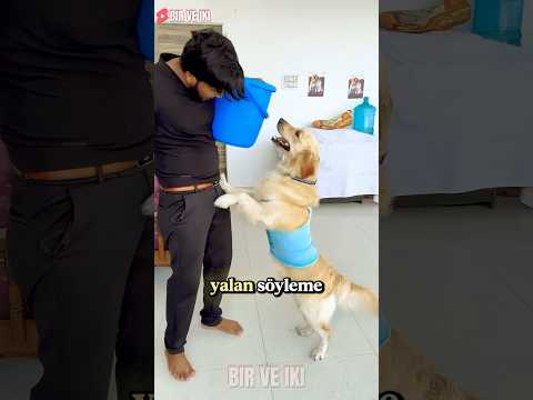 İğneden Korkunca Karnının Ağrısı Geçti! 😱💉 thumbnail