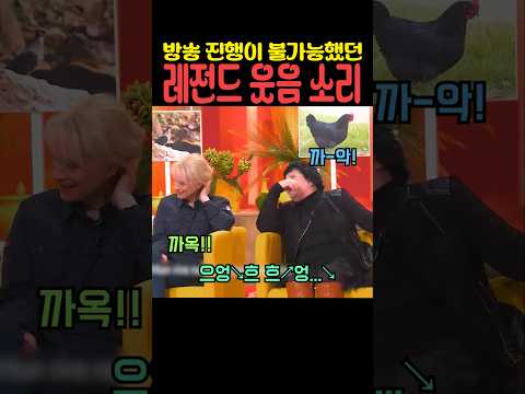방송 진행이 불가능했던 레전드 웃음 소리 thumbnail