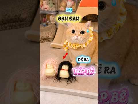Mẹ của Đậu Đậu đẻ ra búp bê rồi #viral #viralreelsシ #viralvideos #viralreels thumbnail