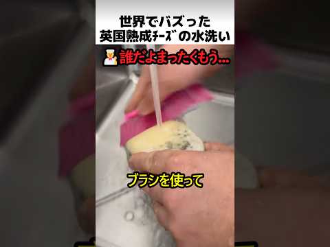英国熟成チーズの水洗い thumbnail