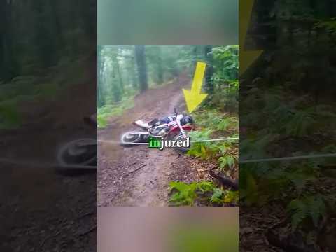 A Cable Trap In The Middle Of The Forest! ? thumbnail