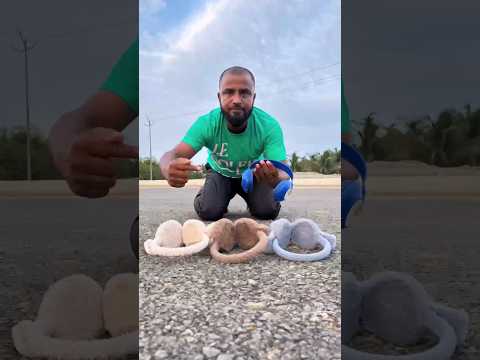 ?Cute New 3 TA Earmuffs Vs Original Headphone Unboxing Test ? thumbnail
