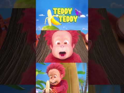 Orangutan Babies | Teddy Teddy | Sing Along thumbnail