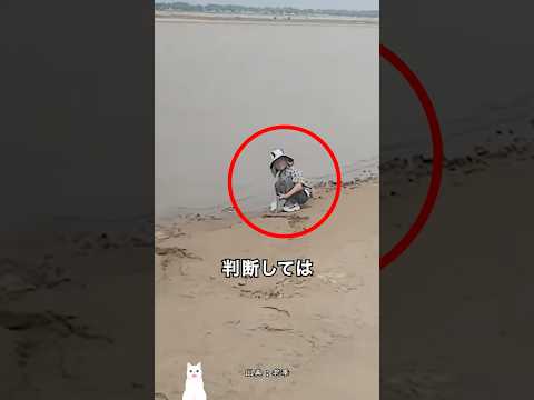 川辺で遊んでいた子供を急いで追い出した理由 thumbnail