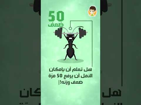 هل تعلم أن بإمكان النمل أن يرفع 50 مرّة ضعف وزنه! thumbnail