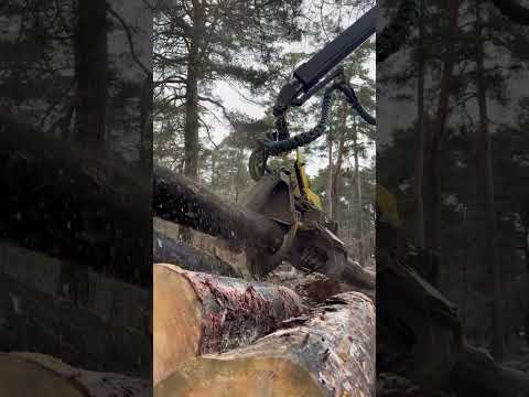 John Deere 1270G at Full Power: Forest Work Like #forest #harvester #johndeere #wood #lumberjack thumbnail