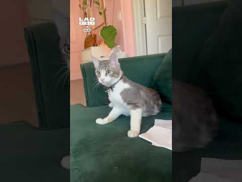 She Was Concerned ? thumbnail