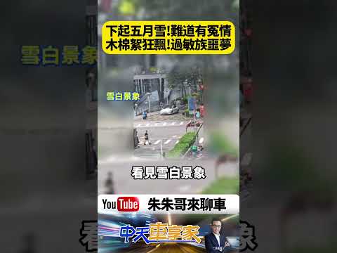 台北36度高溫竟然「下雪了」？白色雪花漫天狂飛！路人全停下來抬頭看傻眼 真相曝光竟是木棉絮大爆發【#朱朱哥來聊車】@中天車享家CtiCar #抖音 #shorts thumbnail
