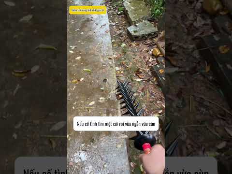 Anh trai làm tất cả cũng chỉ vì anh thumbnail
