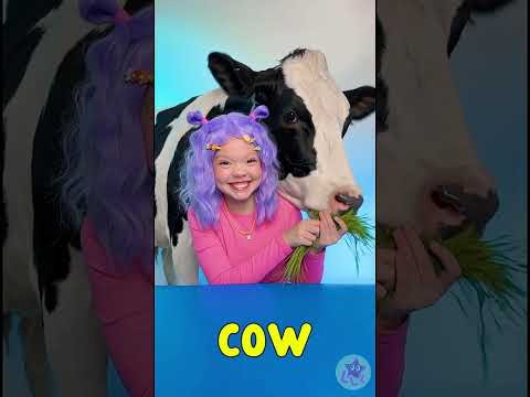 تناول الطعام thumbnail