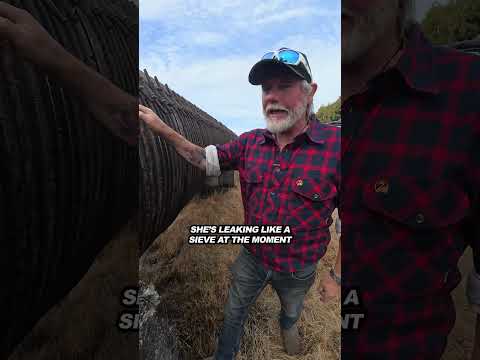 The weird things you find in Tassie thumbnail