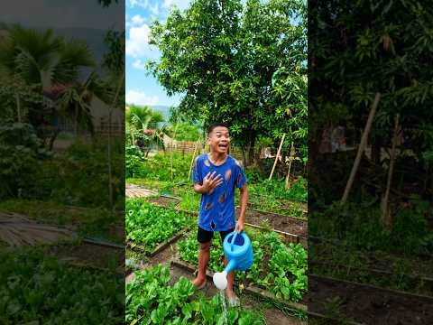 เมื่อพ่อรักลูกไม่เท่ากัน | Unfair gift thumbnail