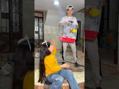 يأخذ عصافير الفتاة وصدمة 😰 المدير يمنعه !! thumbnail