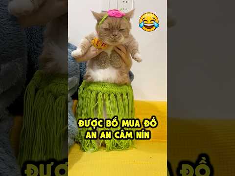 Giải cứu An An khỏi bộ đồ của bố lươn lẹo ☠️ thumbnail