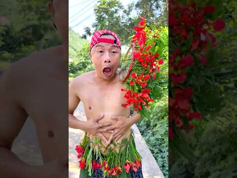 What message about kindness towards others do I want to convey through this humorous story??? thumbnail