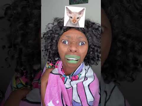 What Cat Are You? - GloZell xoxo thumbnail