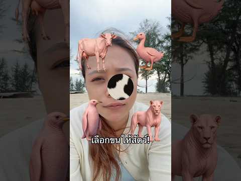 เลือกขนให้สัตว์! #ลองดู #choices #ฝากติดตาม #หมูหมีจัดให้ #เอ็นจอยคับผม thumbnail