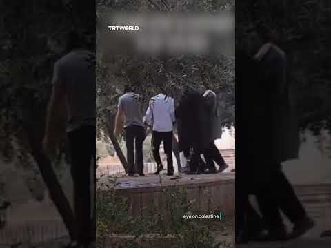 Illegal Israeli settlers storm Al-Aqsa compound to perform rituals thumbnail