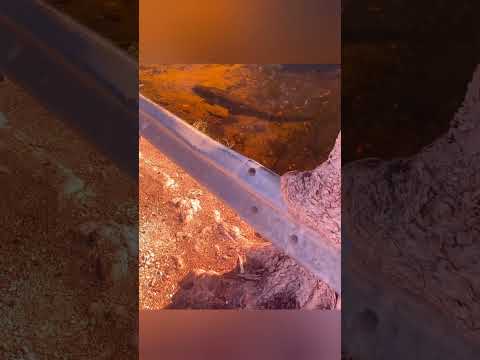 how polarized glasses clear the glare from water #shorts thumbnail