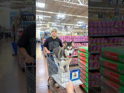 EL PERRITO NO MUERDE 😂 thumbnail