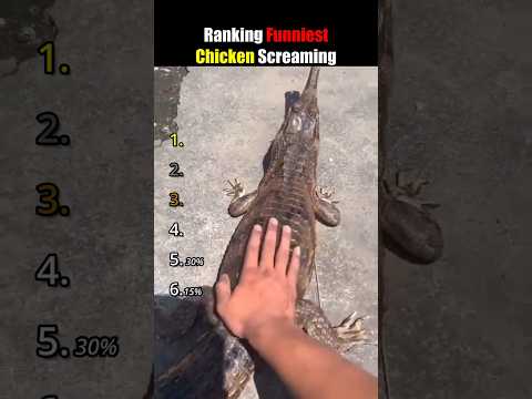 DON'T CHECK THE SOUND 😭😭 thumbnail