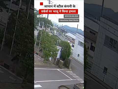 Japan में एक कंपनी के वर्कर्स पर भालू ने किया हमला #japan #bear thumbnail