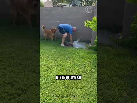 Saat Disini Lawan Banjir,  Orang Ini Malah Buat Banjir! thumbnail
