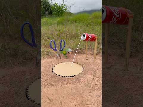 Innovative Processing Parrot Trap #shorts thumbnail